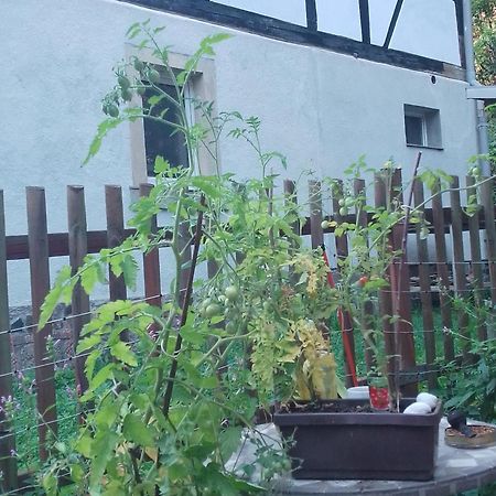 Zum Stillen Himmelbett In Lichtenwalde Niederwiesa Luaran gambar