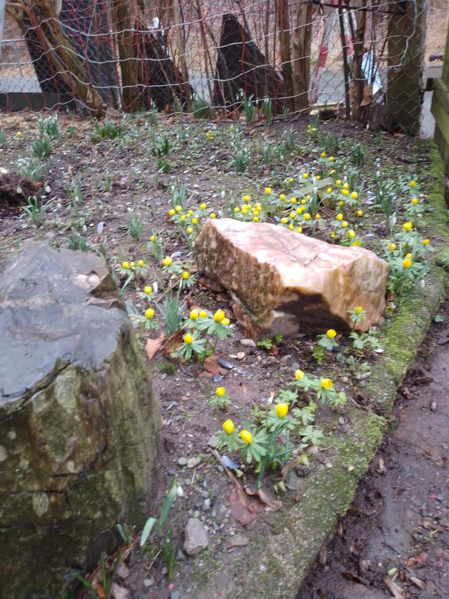 Zum Stillen Himmelbett In Lichtenwalde Niederwiesa Luaran gambar