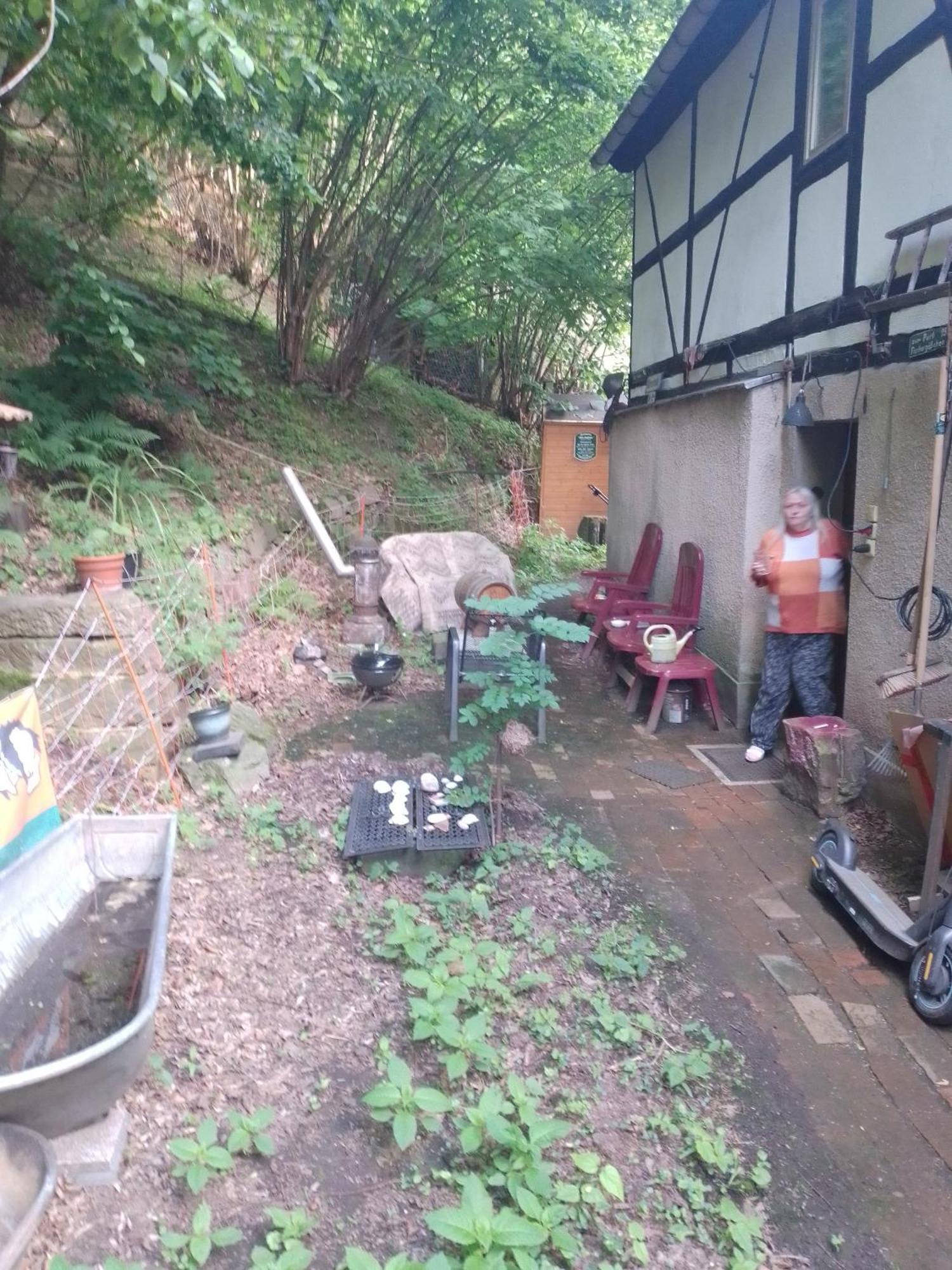 Zum Stillen Himmelbett In Lichtenwalde Niederwiesa Luaran gambar